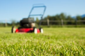 Five Ways Artificial Landscaping Benefits Your Property - Artificial Grass Liquidators