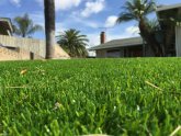 Artificial Grass for Lawns